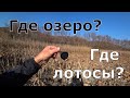 Лотосовое озеро в Абрау-Дюрсо. Как проехать? Что стало с озером Бам. (Папа Может)