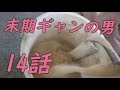 「生きるしかない」　ストマックの競馬