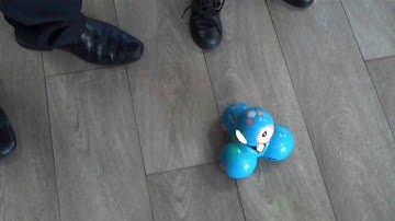 Dash Robot introducing Coding to Kids IJGS