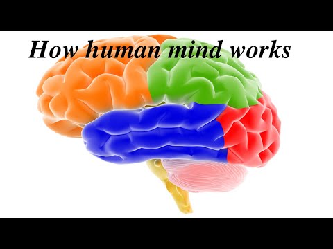 How human mind