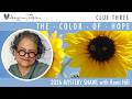 Clue 3 The Color Of Hope 2026 Mystery Shawl Knitting Pattern By Romi Hill 