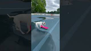 The Rain Stopped. Lets Go Have Some Fun