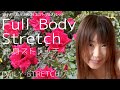 【DailyStretch】Full Body Stretch 全身ストレッチ