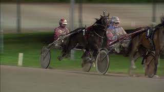 Vidéo de la course PMU PRIX TJAARDA ORANJEWOUD (PAYDAY WINNER CHALLENGE)