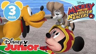 Mickey And The Roadster Racers   Phoebe The Puppy Is Lost    Disney Kids