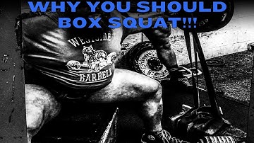 Why You Should Box Squat!!!