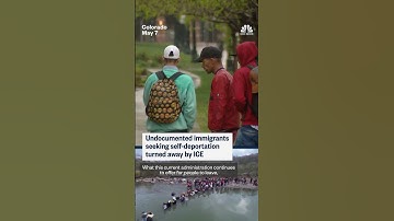 Undocumented immigrants seeking self-deportation turned away by ICE