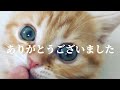 3年間ありがとうございました。