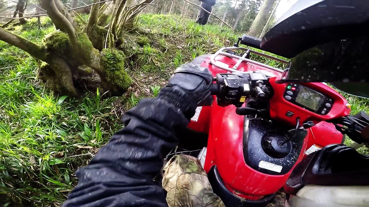 Honda Rincon 680 & 650 Off Road - YouTube