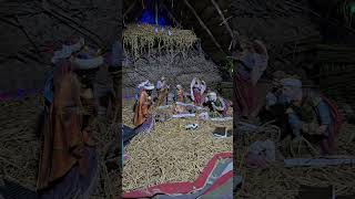 jesus 👑 born #jesus #jesuslovesyou #jesuschrist #christmas #shorts #devotional