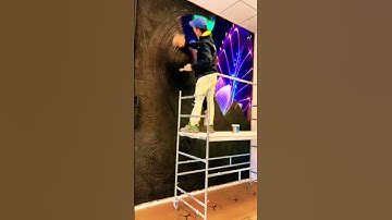 mural (bức tranh tường)🤩😻😍#shorts