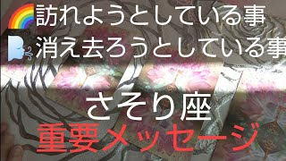 蠍座♏️【見た時がタイミング‼️】人生に起こる重要な出来事‼️#オラクルカード #カードリーディング #スピリチュアル #占い #潜在意識 #未来予測 #蠍座 #占い