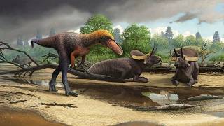 Weekly Wildlife: Dinosaur Day (Moreno Hill Formation)
