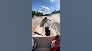 qué es eso 😱😱#ai #inteligenciaartificial #videoia #aicreator #deeplearning #generativeai #aiart #a