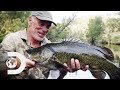 Searching For The Legendary Murray Cod In The Australian Outback | Jeremy Wade's Dark Waters