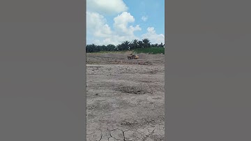 sanap #tambangbatubarakalimantantimur #shorts #short #video #shortsfeed #shortvideo