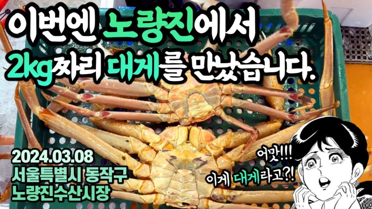 한마리에 2kg짜리 대게,이번에는 노량진에서 만난 얘기…