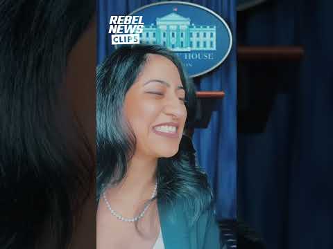 Kamala Harris addresses everything and nothing at press conference