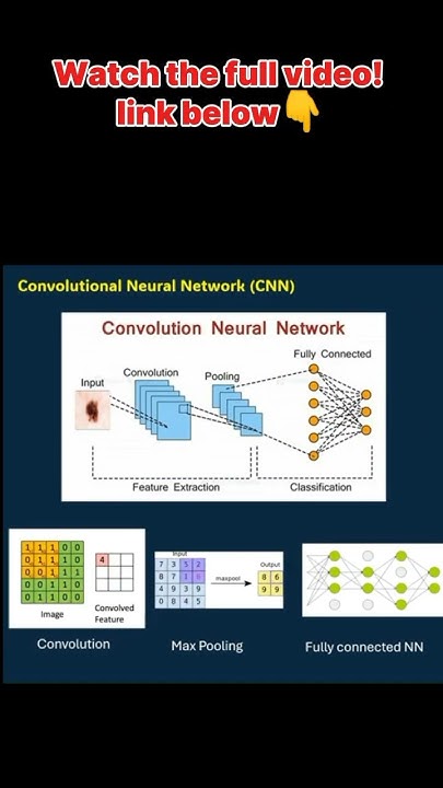 ANN vs CNN #artificialintelligence #datascience #dataanalytics #code ...
