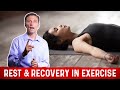 How Much Rest & Recovery Do We Need After Workout? – Dr.Berg on Exercise