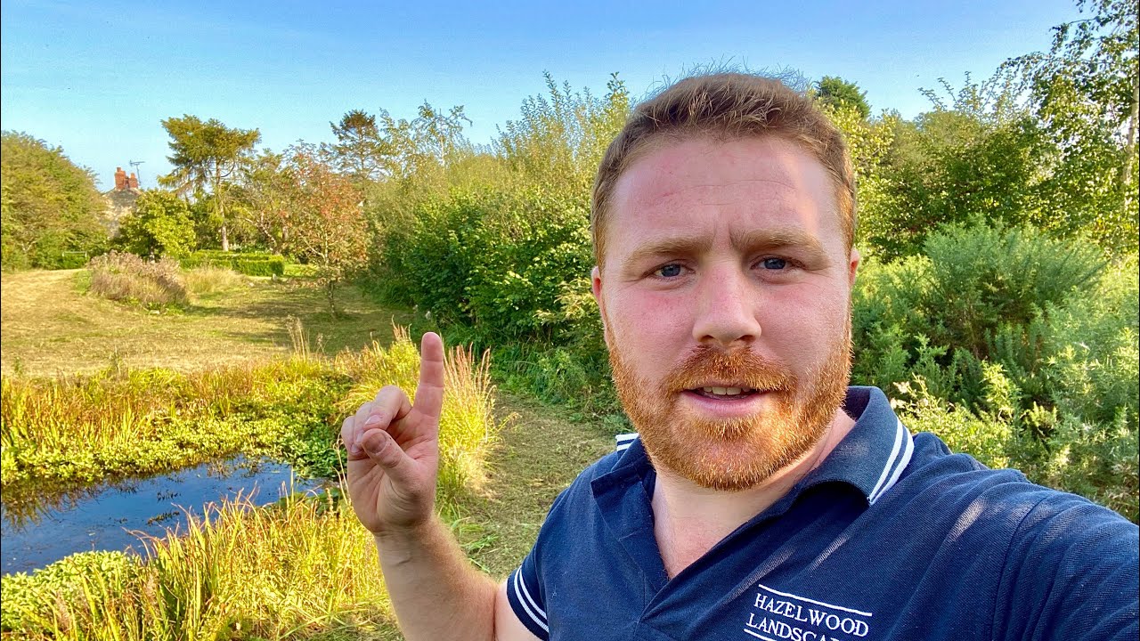 The Best Habitat for Attracting Birds to your Garden - A Coppice Belt