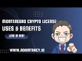 Montenegro Crypto License: The ‘Backdoor’ to EU Digital Assets? | Adam Tracy
