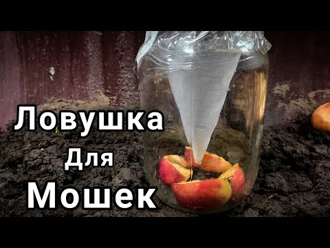 Как избавиться от