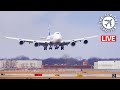 AMAZING NEW SPOT! 🔴LIVE plane spotting @ Chicago O'Hare Airport