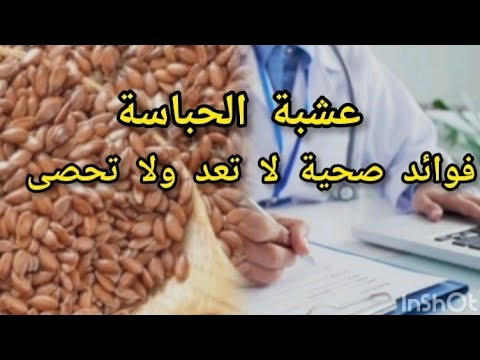 عشبة الحباسة علاج طبيعي للجهاز الهضمي والسكري وتهدئة الأعصاب فوائد عشبة الحباسة