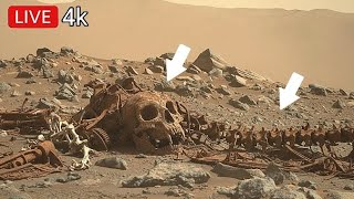 NASA Perseverance Rover Latest Images SOL 1836 | Mars 4k Panoramic video | Mars hd photos