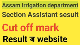 assam irrigation result 2020|  Section Assistant Result-397|Cut off mark|