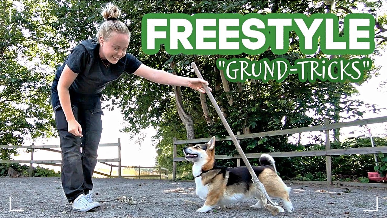 hur man BÖRJAR MED FREESTYLE - bra grund-tricks