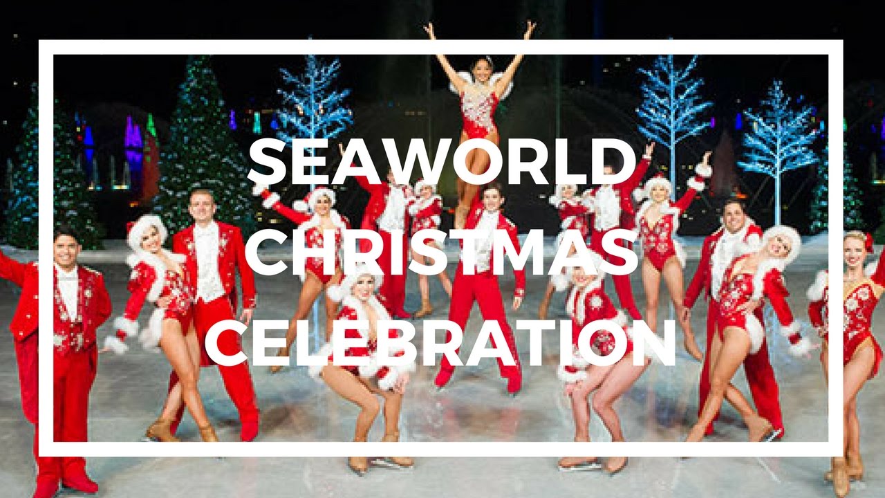 SEAWORLD CHRISTMAS CELEBRATION YouTube