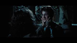 Harry Potter Prisoner Of Azkaban - Rescored Goodbye, Sirius