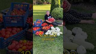 У нас юбилейный сезон, 10 лет как у нас дача и 3 последних года я делюсь с вами всем, что знаю🙌