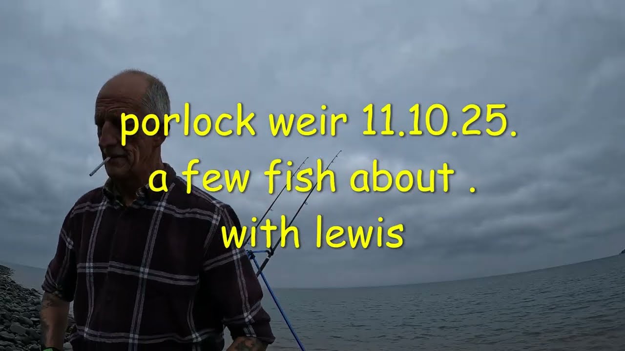 Плотина Порлок. Несколько рыбок примерно. 11 10 25. 