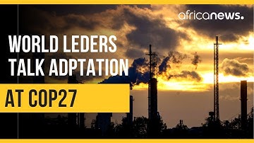 Why is adaptation, loss and damage a priority topic at COP27? | Africanews