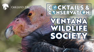 Cocktails & Conservation: Ventana Wildlife Society