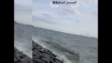 #قرآن بصوت القارئ الطفل عمر الفاروق|تلاوة رائعة