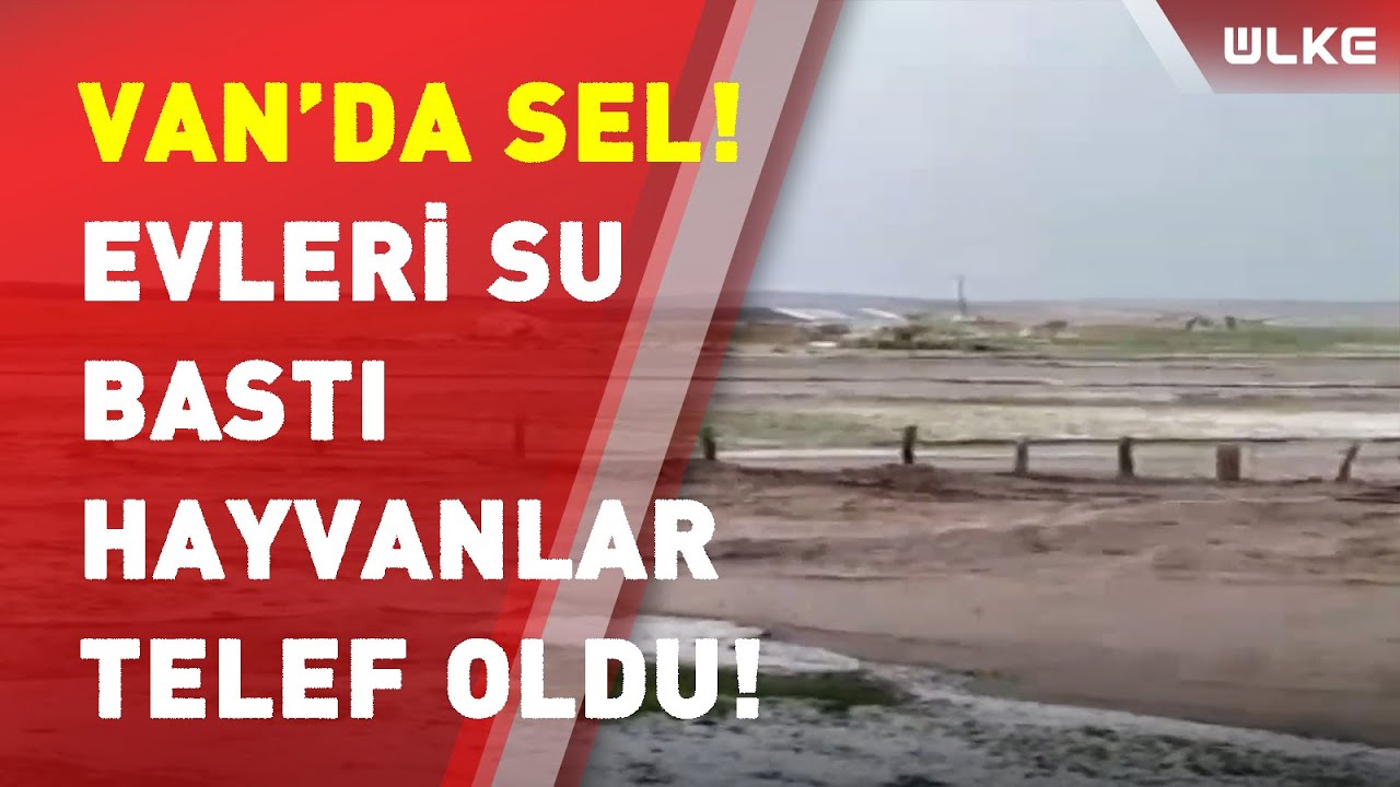 Van'da Selden Dolayı Evleri Su Bastı!