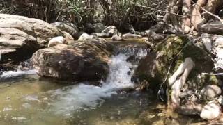 Doğanın Içindeki Ses