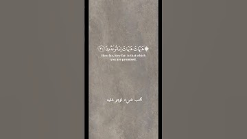 القارئ ياسر الدوسري | اكتب شيء تؤجر عليه