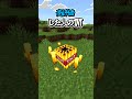 〇〇した人のTNT【マインクラフト】#マイクラ #shorts