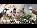 Daftar burung import populer