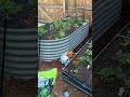 #gardening #summervibes #tiktokshopmemorialday #shippedbytiktok #dealsforyoudays