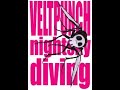 VELTPUNCH「nightsky diving」