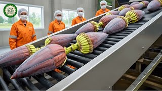 Inside the Largest High-Tech Banana Blossom Factory You’ve Never Seen Before (Full Process)