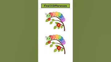 Spot 3 Differences #891