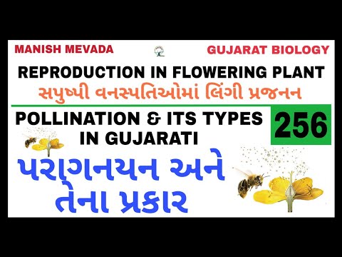 POLLINATION &  ITS TYPES IN GUJARATI || પરાગનયન અને તેના પ્રકાર