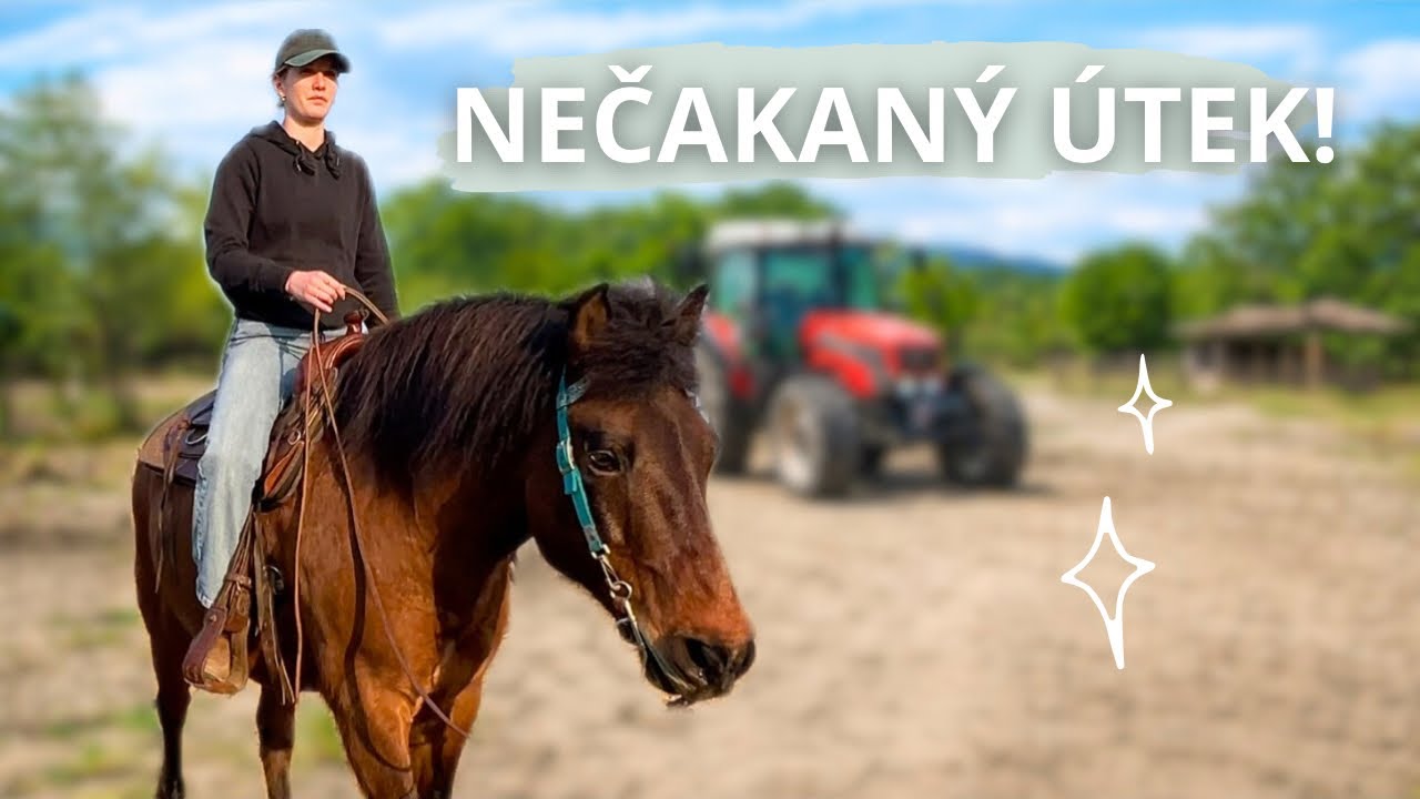 Môj kôň si myslel, že zomrieme… kvôli traktoru 😅